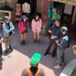 Colonia Roma Musical Walking Tour - Authentic Feedback from Participants