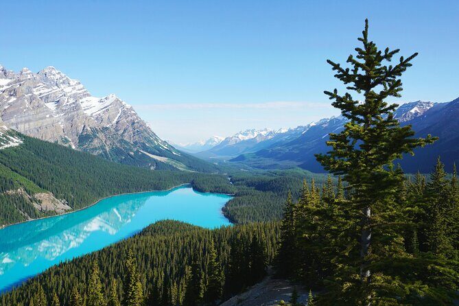 Columbia Icefield Bow Lake Peyto Lake Day Tour - Who Should Book This Tour?
