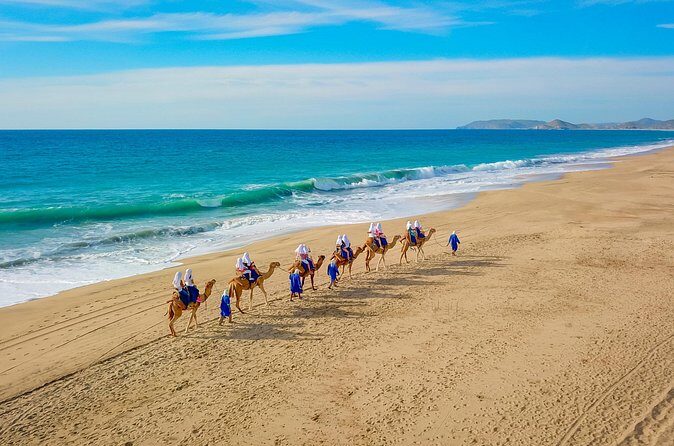 Combo Single Offroad 4x4 UTV, Camel Ride, Lunch & Tequila Tasting - Frequently Asked Questions  