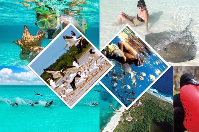 Contoy Island - The Value You Get