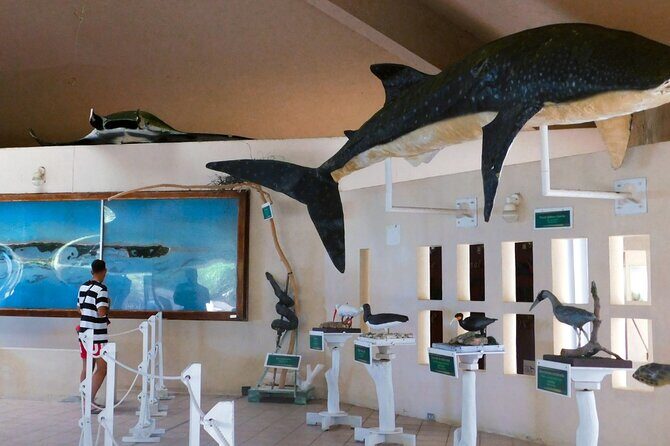 Contoy Island Tour from Cancun and Isla Mujeres with Snorkeling - FAQ