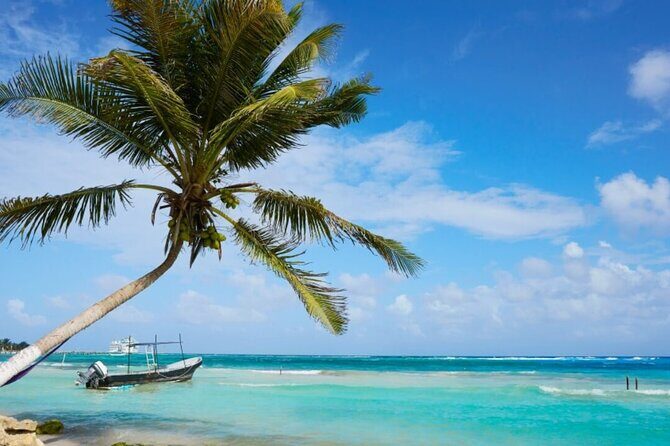 Costa Maya All Included Beach Break from Cruise Port - The Itinerary: What to Expect