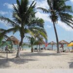 Costa Maya Port All-Inclusive Beach Escape - The Itinerary: What to Expect at Each Stop