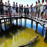 Cozumel 4x4 Adventure Punta Sur and Virgin Beach All Inclusive - Exploring Punta Sur Eco Park