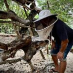 Cozumel: Bee Farm + Honey & Chocolate Tasting + Sightseeing - Exploring the Itinerary