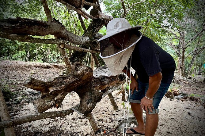Cozumel: Bee Farm + Honey & Chocolate Tasting + Sightseeing - Exploring the Itinerary