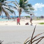 Cozumel Best Spots (Beach-Mayan Park-Downtown) - Authentic Experiences and Insights from Reviews