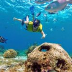 Cozumel by transparent boat and snorkeling in the sky with lunch. - What Travelers Are Saying
