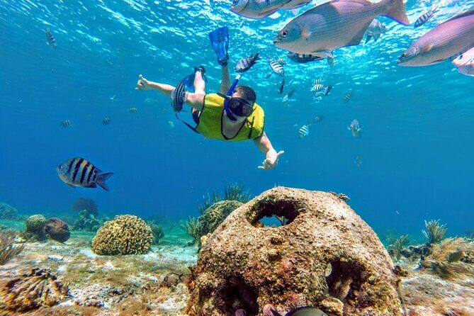 Cozumel by transparent boat and snorkeling in the sky with lunch. - What Travelers Are Saying