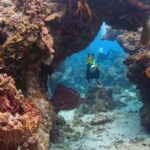 Cozumel: Discover Scuba Diving - The Equipment and Safety