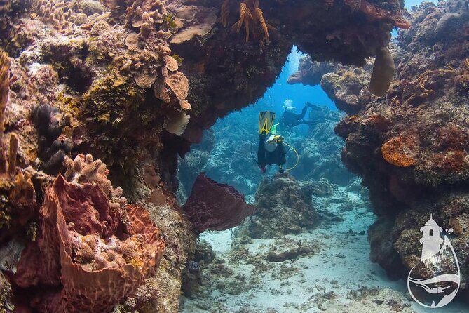 Cozumel: Discover Scuba Diving - The Equipment and Safety