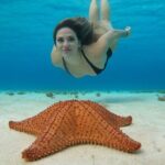 Cozumel El Cielo Snorkeling Tour - The Snorkeling Experience and Marine Encounters