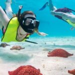 Cozumel Island Tour with your chosen vehicle - A Closer Look at the Cozumel Island Tour