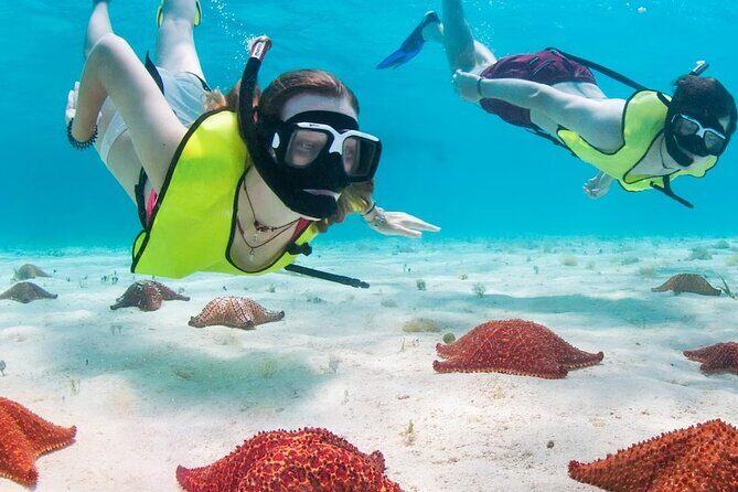 Cozumel Island Tour with your chosen vehicle - A Closer Look at the Cozumel Island Tour