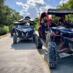 Cozumel: Jeep & Xrail Buggy Adventure Excursion - Who Will Love This Tour?