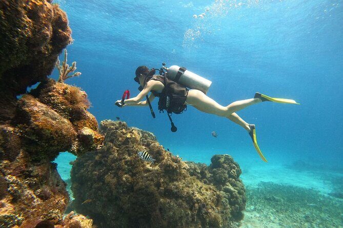 Cozumel Scuba Dive at Chankanaab - The Underwater World of Chankanaab