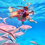Cozumel Snorkeling to Palancar & El Cielo with drinks & Snack - Practical Tips for the Tour