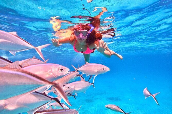 Cozumel Snorkeling to Palancar & El Cielo with drinks & Snack - Practical Tips for the Tour