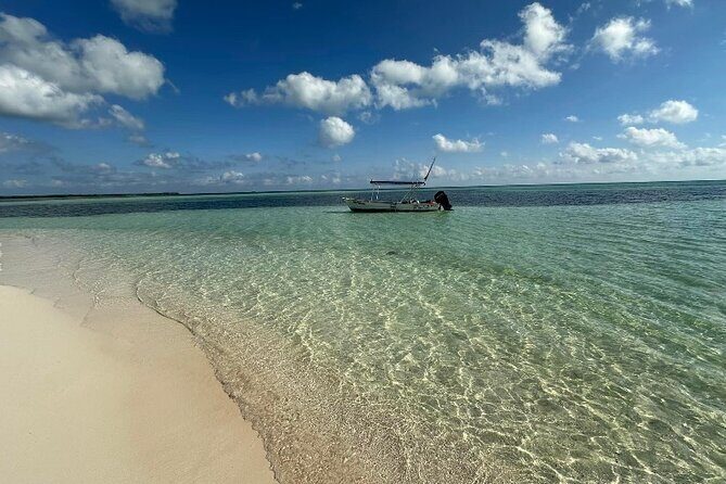Cozumel Unique Buggy Adventure Five Hour Tour - FAQ