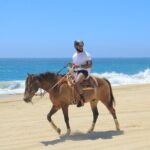 Create your COMBO: Choose 2 of the Best Tours in CABO - In-Depth Experience Breakdown