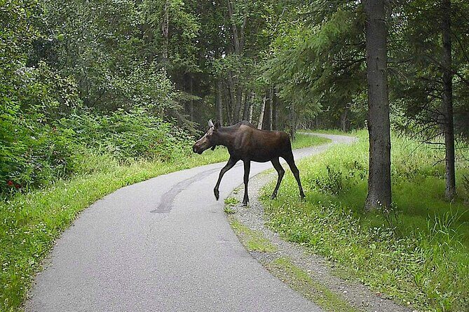 Creative Soul Scavenger Hunt Anchorage on the Tony Knowles Trail - FAQs