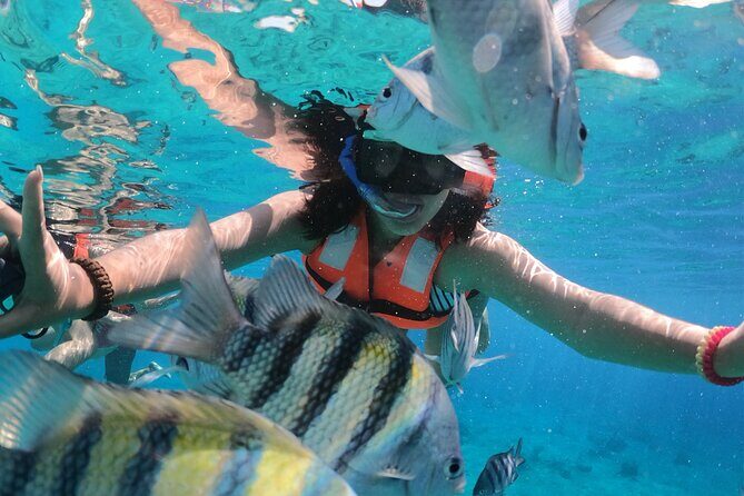 Crystal Boat Tour with Snorkeling and Drinks in Cozumel - Authentic Review Snippets and Insights