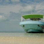 Day Trip to Isla Contoy - The Authentic Touch: What Sets This Tour Apart?