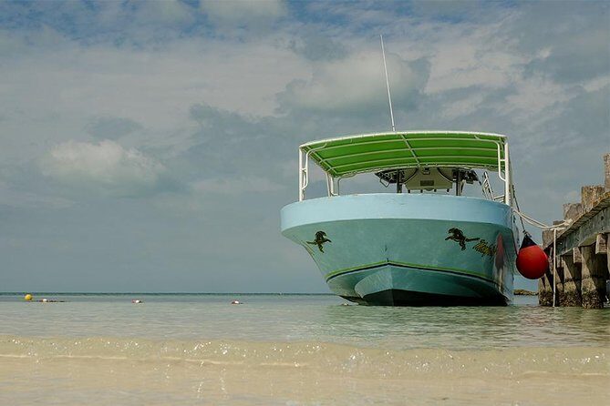 Day Trip to Isla Contoy - The Authentic Touch: What Sets This Tour Apart?