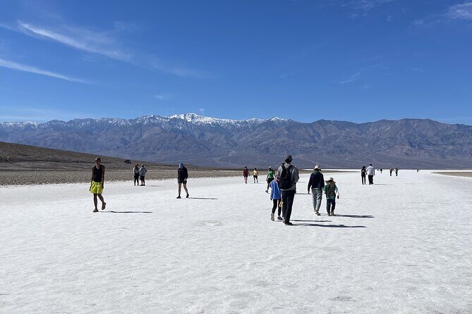 Death Valley, Seven Magic Mountains & Vegas Sign Tour - Transportation, Guide, and Overall Experience