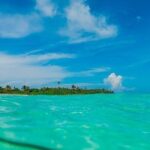 Deep into Nature at Sian Ka'an Biosphere! Round Transportation From Riviera Maya - A Closer Look at the Sian Kaan Experience