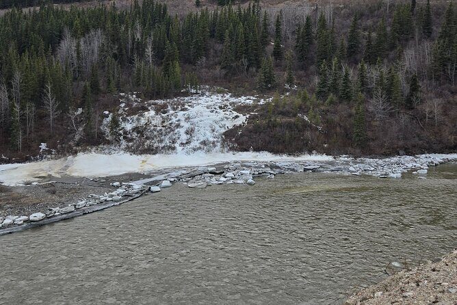 Denali National Park Shuttle - Final Thoughts