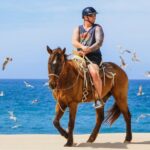 Desert and Beach Horseback Riding Experience in Cabo - Why This Tour Offers Excellent Value