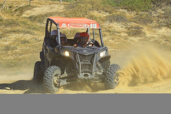 Desert and Beach UTV Adventure with Tequila Tasting - Who Will Love This Tour?