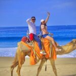 Discover Cabo San Lucas by camel ride - Why This Tour Offers Great Value