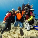 Discover Diving in the Reefs of Cozumel - Who Should Consider This Tour?