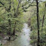 Discover Estanzuela Natural Park - Additional Details: Practical and Comfortable