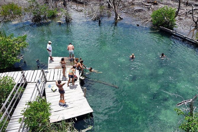 Discover the Wonders of Holbox, Cenote and Passion Island. Transport included - Practical Details and Value