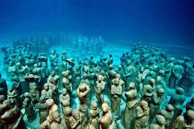 Diving + Muse - Who Would Enjoy This Tour?