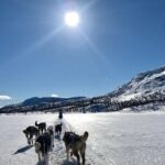 Dogsledding in the Heart of Alaska - Final Thoughts