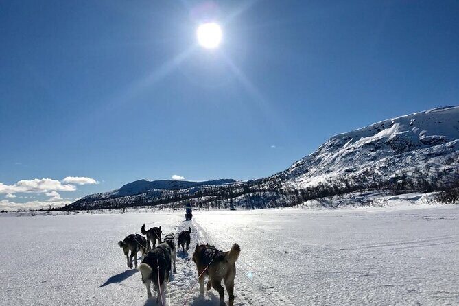 Dogsledding in the Heart of Alaska - Final Thoughts