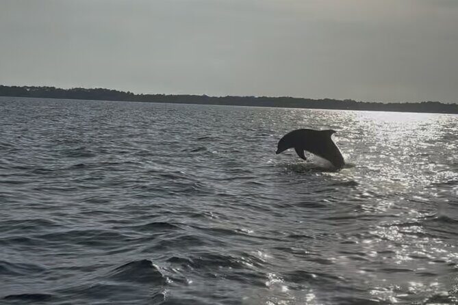 Dolphin cruise in Santa Rosa Beach - Final Thoughts