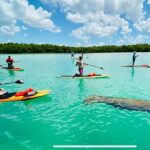 Dolphin, Manatee and Sea Turtle Adventure Tour of Bonita Springs - In-Depth Review: What Sets This Tour Apart