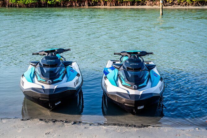 Dolphin Watching Jet Ski Tour - The Experience with Saltys Water Sports & Boat Rental