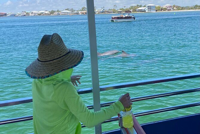 Dolphin Watching Tour in Orange Beach - Overview of the Experience