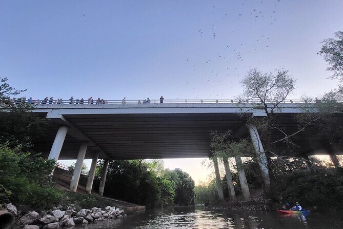 Downtown Houston Bat and Skyline Kayaking Tour - Authentic Experiences and Practical Tips