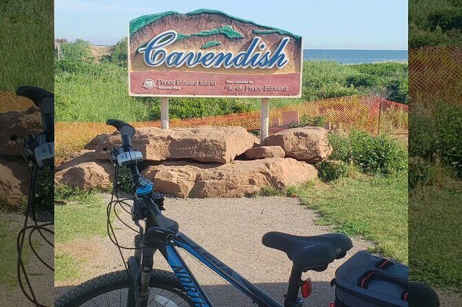E-Bike Day Tour From Cavendish to Rustico - Price and Value Considerations