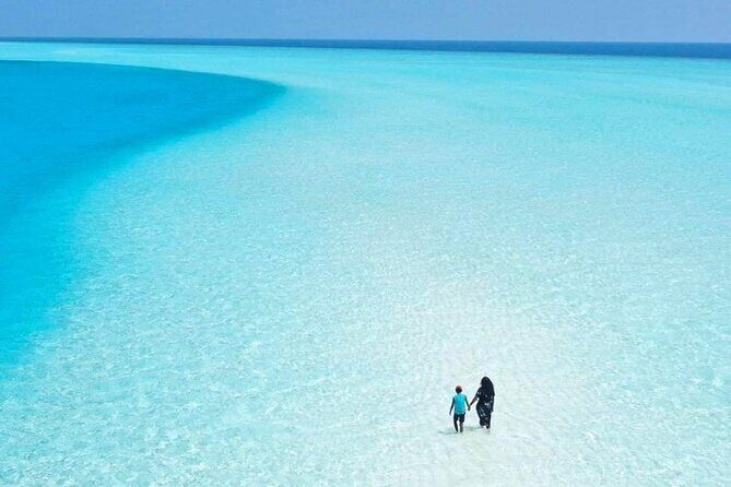 ECO-Adventure at Holbox Island and Cenote Yalahau from Cancun & Playa Del Carmen - Exploring the Itinerary in Depth