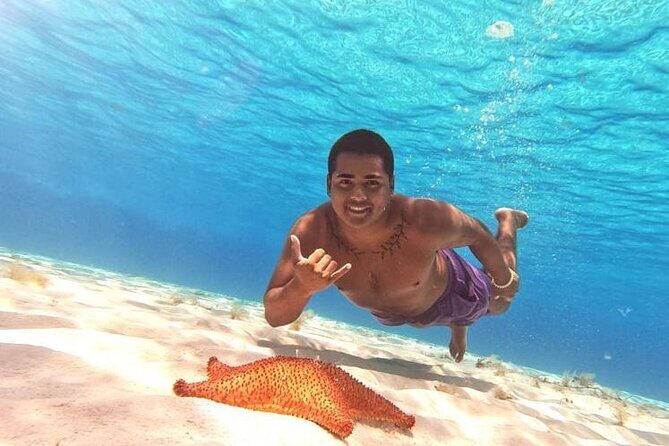 El Cielo Beach Snorkeling Adventure by Catamaran - Considerations & Room for Improvement