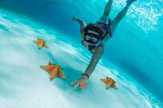 El Cielo Cozumel, a paradisiacal tour. Be amazed by the stars near to you. - Why This Tour Is Worth Considering