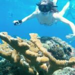 El Cielo Cozumel Snorkel Private Boat + Food + Drinks + Beach - Practical Details & Tips